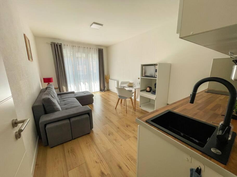 Le Lagon Bleu - Appt Wifi Parking Balcon Le Puy-en-Velay Zewnętrze zdjęcie
