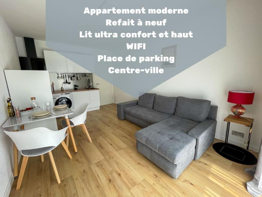 Le Lagon Bleu - Appt Wifi Parking Balcon Le Puy-en-Velay Zewnętrze zdjęcie